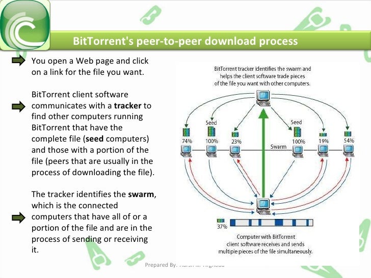 bittorrent protocol rfc bittorrent portable